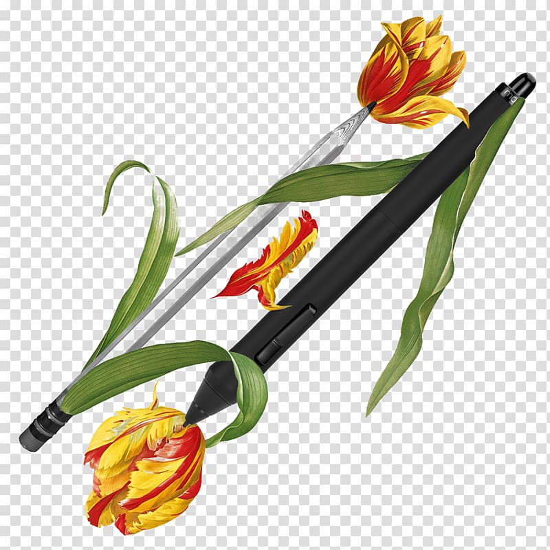 Flora Flower Collage Art Pencil, Hand-painted flower pen transparent background PNG clipart