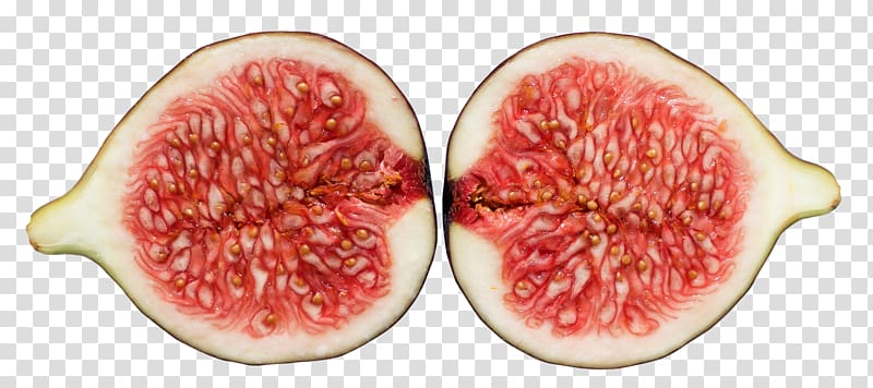 Watermelon Common fig Common guava, Fig transparent background PNG clipart