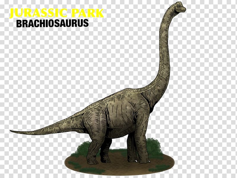 Brachiosaurus Jurassic World Evolution Jurassic Park Builder Apatosaurus, The Good Dinosaur transparent background PNG clipart