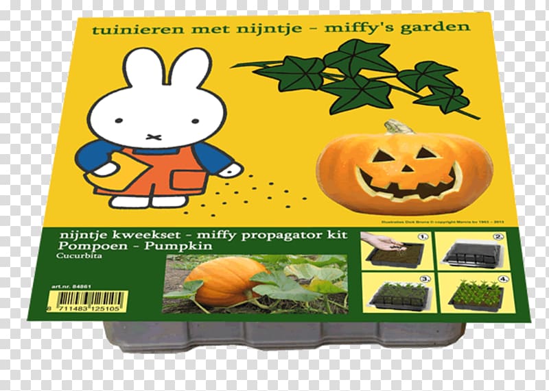 Pumpkin Calabaza Scorpion grasses .nl Plant, pumpkin transparent background PNG clipart