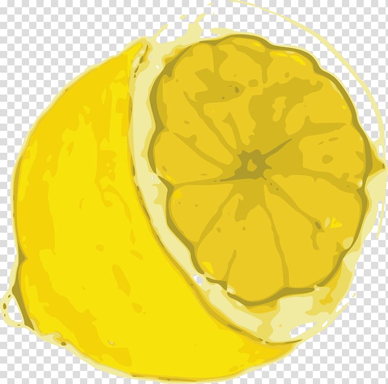 Lemon Line art Citron , one slice transparent background PNG clipart