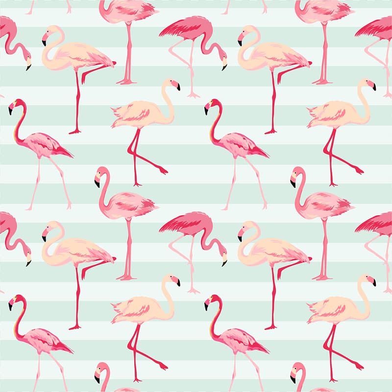 assorted-color flamingo birds illustration, Flamingo Pattern, flamingo transparent background PNG clipart