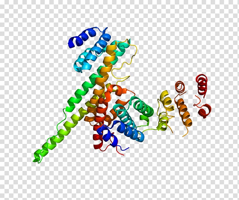 Nucleoporin 107 Nuclear pore Protein Nucleoporin 214, others transparent background PNG clipart