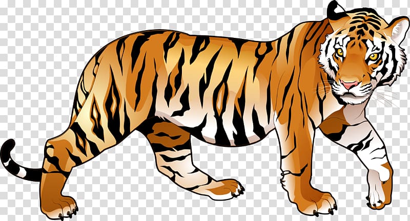 Riding the Tiger: How To Execute Business Strategy In India Bengal tiger, tiger transparent background PNG clipart