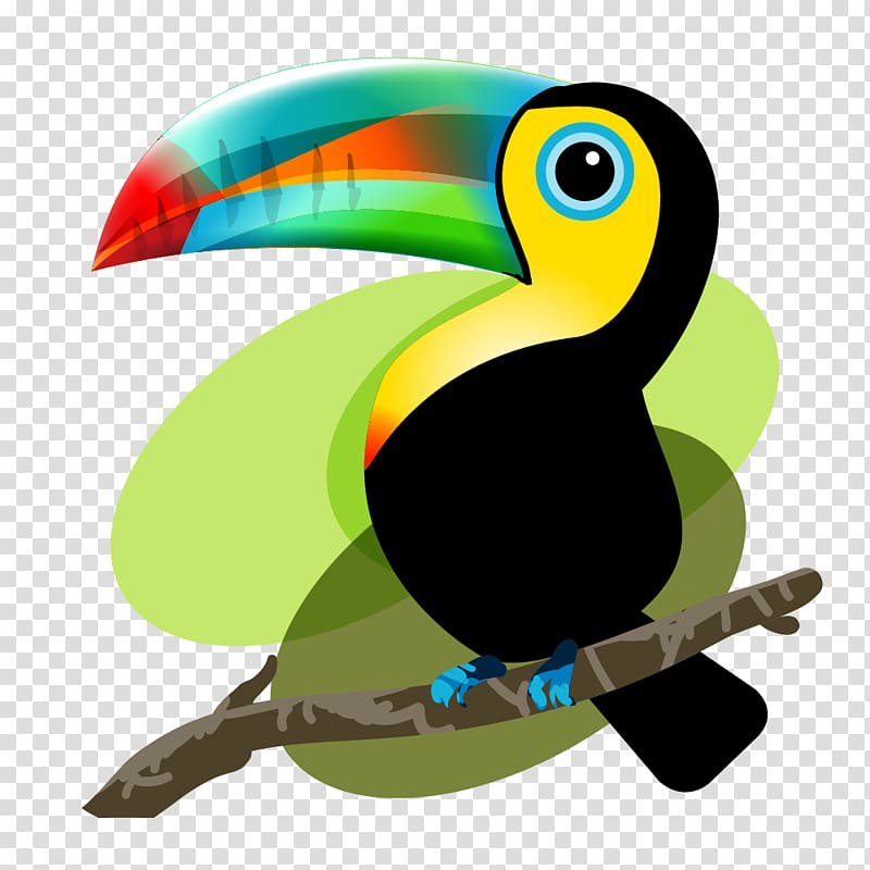 Iquitos Bird Baby Toucan: Mama and Papa Toucan Decide to Adopt Frog, toucan transparent background PNG clipart