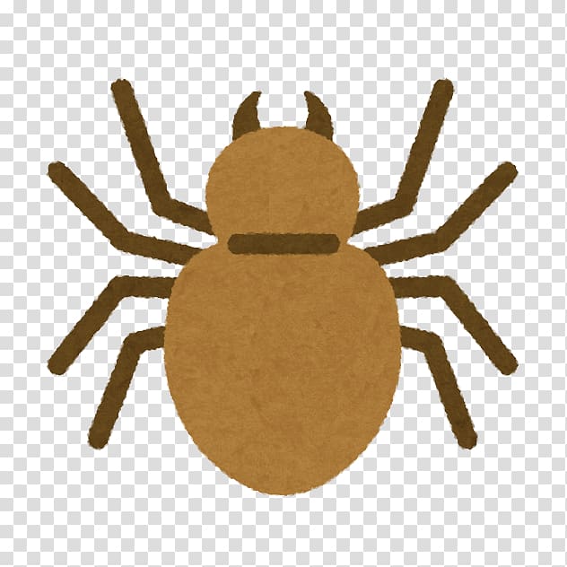 Spider Insecticide Pest Termite, spider transparent background PNG clipart