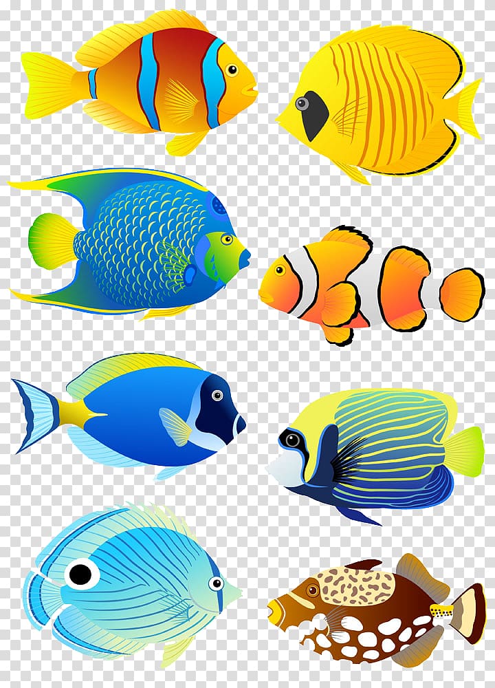 illustration of 8 different species of fish, Tropical fish Angelfish Aquarium , Six cartoon fish transparent background PNG clipart