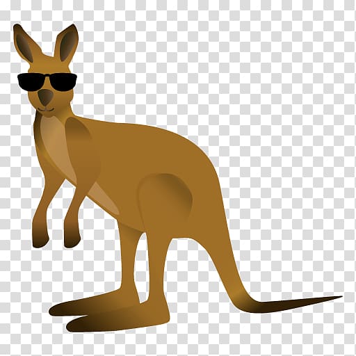 Kangaroo Macropodidae Red fox , australia transparent background PNG clipart