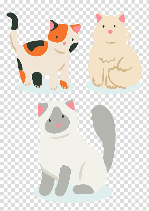 American Curl British Shorthair Abyssinian American Shorthair Turkish Van, Kitty cat transparent background PNG clipart