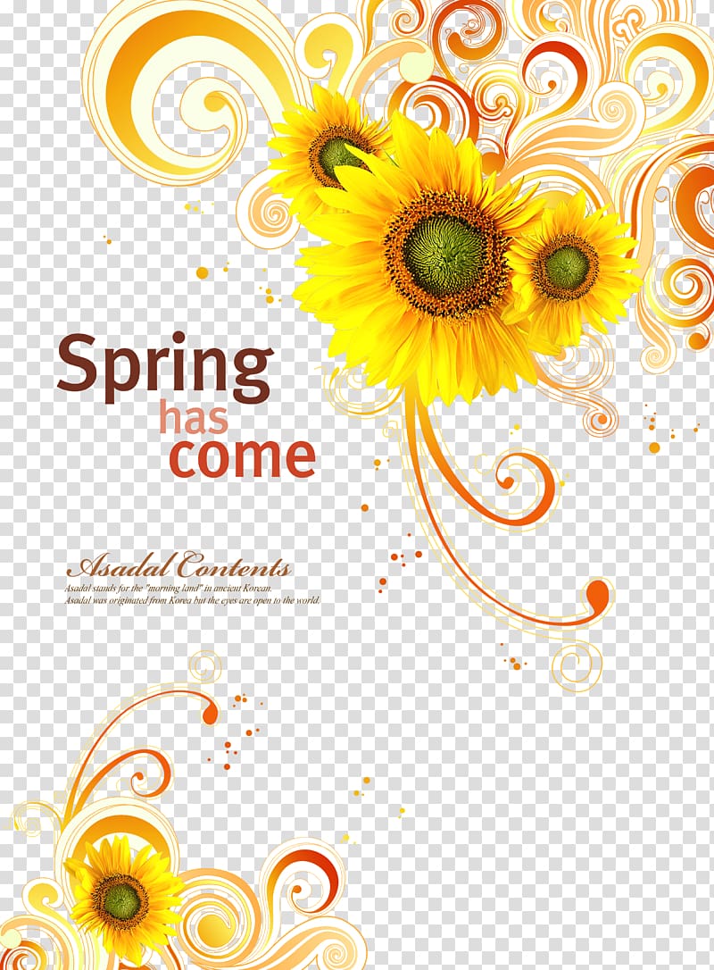 Common sunflower , sunflower transparent background PNG clipart