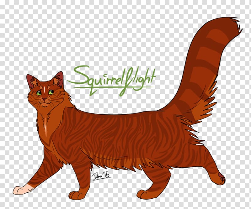 Whiskers Cat Warriors Squirrelflight Leafpool, Cat transparent background PNG clipart