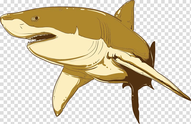 Shark Cartoon Euclidean Illustration, Shark transparent background PNG clipart