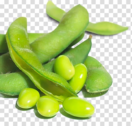 Green bean transparent background PNG clipart