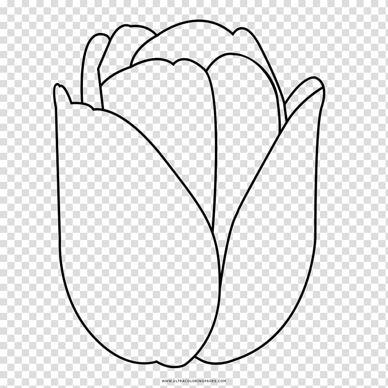 Tulip Petal Drawing Black and white, tulip transparent background PNG clipart