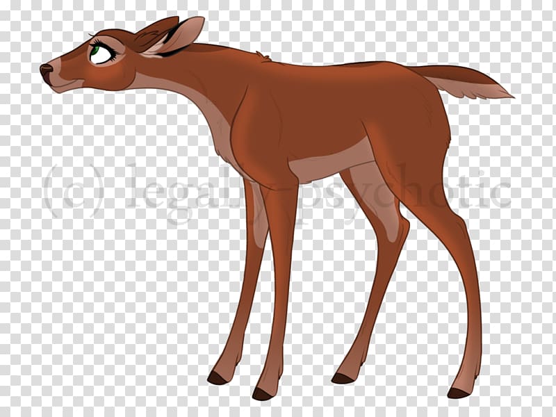 Mule Deer Foal Pony Irish Wolfhound, deer transparent background PNG clipart