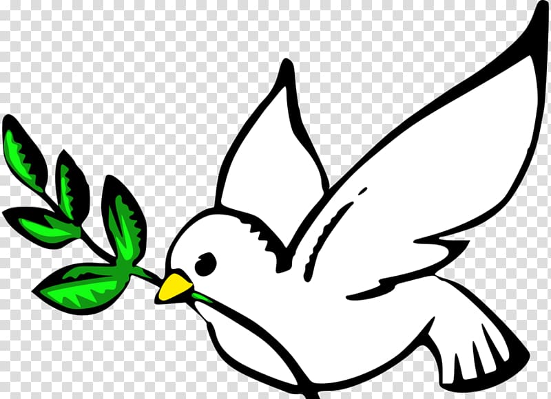 Columbidae Doves as symbols Peace symbols , white pigeon transparent background PNG clipart