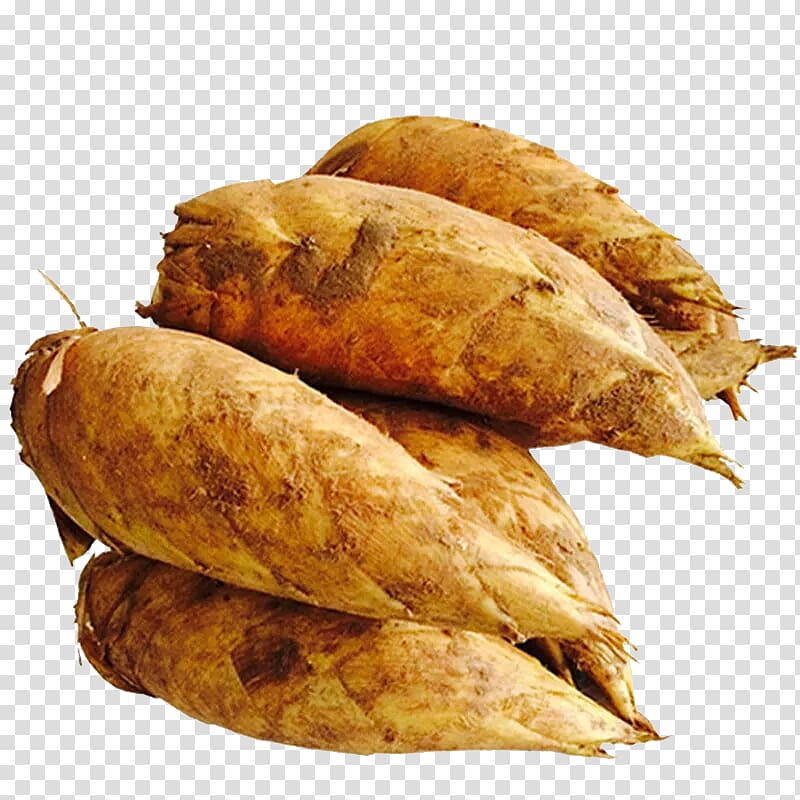Bamboo shoot, A pile of bamboo shoots transparent background PNG clipart