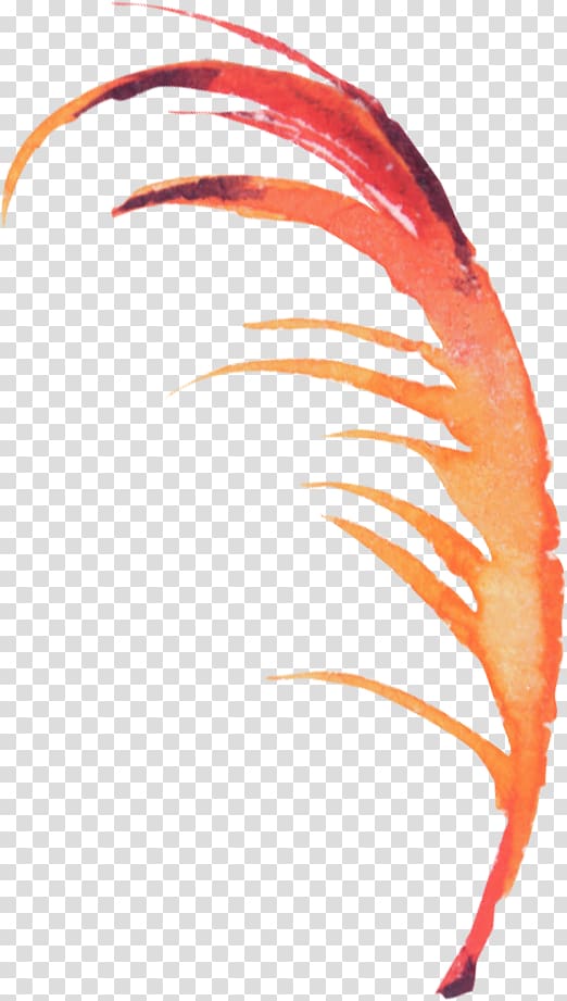 Feather Bird, Hand-painted feathers transparent background PNG clipart