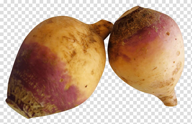 two sweet potatoes, Rutabaga Turnip transparent background PNG clipart