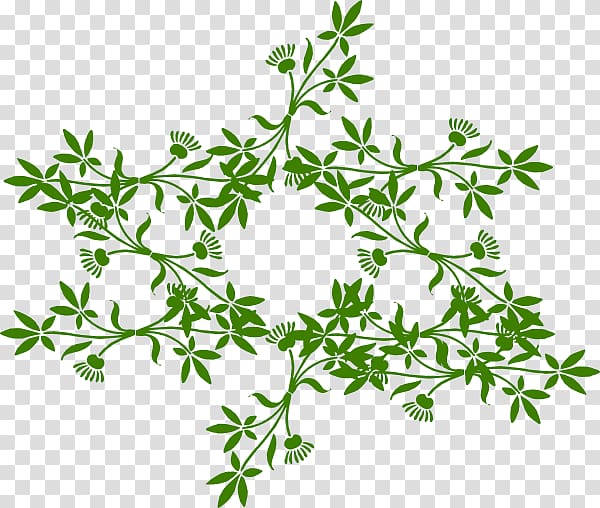 Flower , olive wreath transparent background PNG clipart