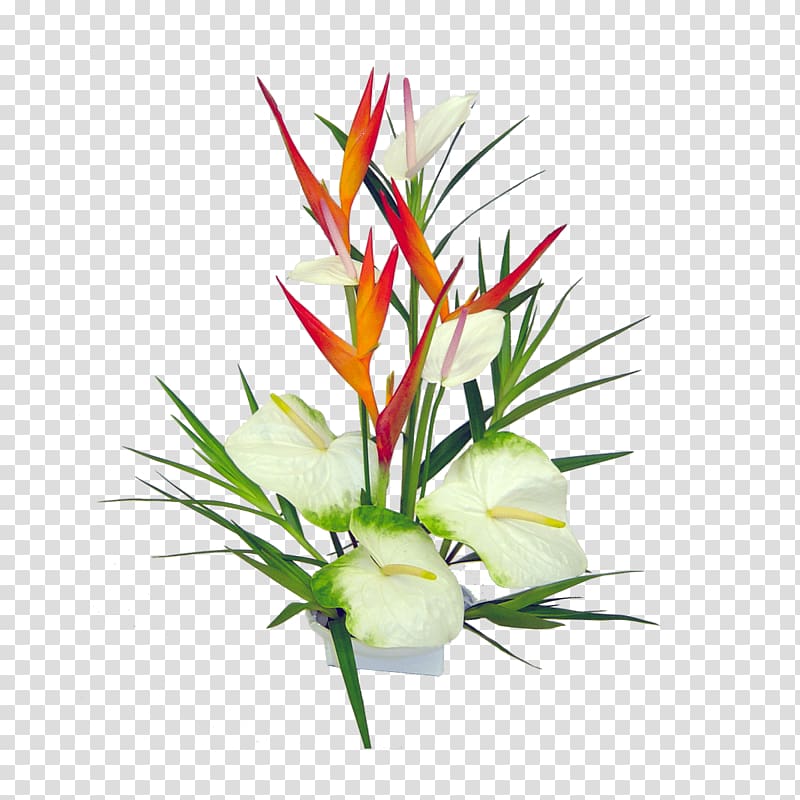 white flowers illustration, Hawaii Flower bouquet Floristry Lei, tropical flower transparent background PNG clipart