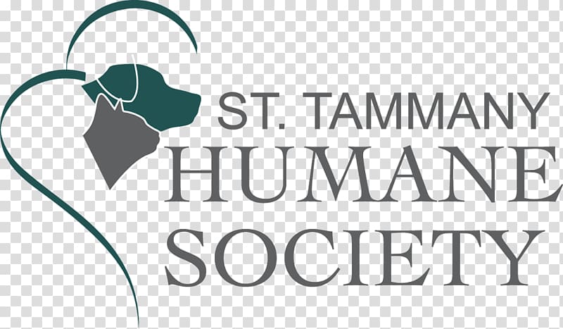 Houston Humane Society Dog Animal shelter, Dog transparent background PNG clipart