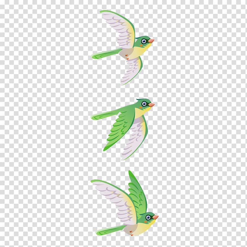 Bird Parrot Green, Green Birds transparent background PNG clipart