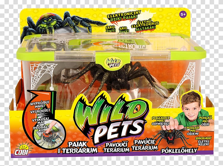 Spider Little Live Pets Toy Cobi Terrarium, spider transparent background PNG clipart