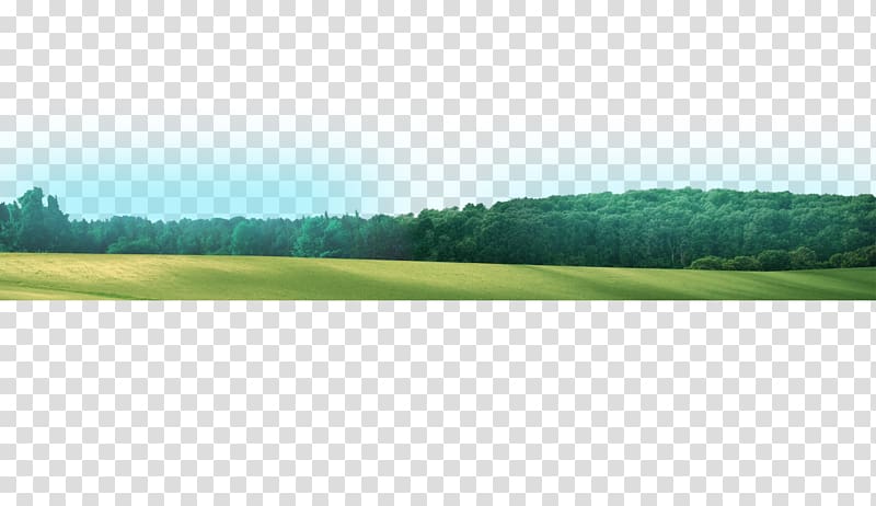 Grassland Golf course Meadow Farm Pasture, forest transparent background PNG clipart