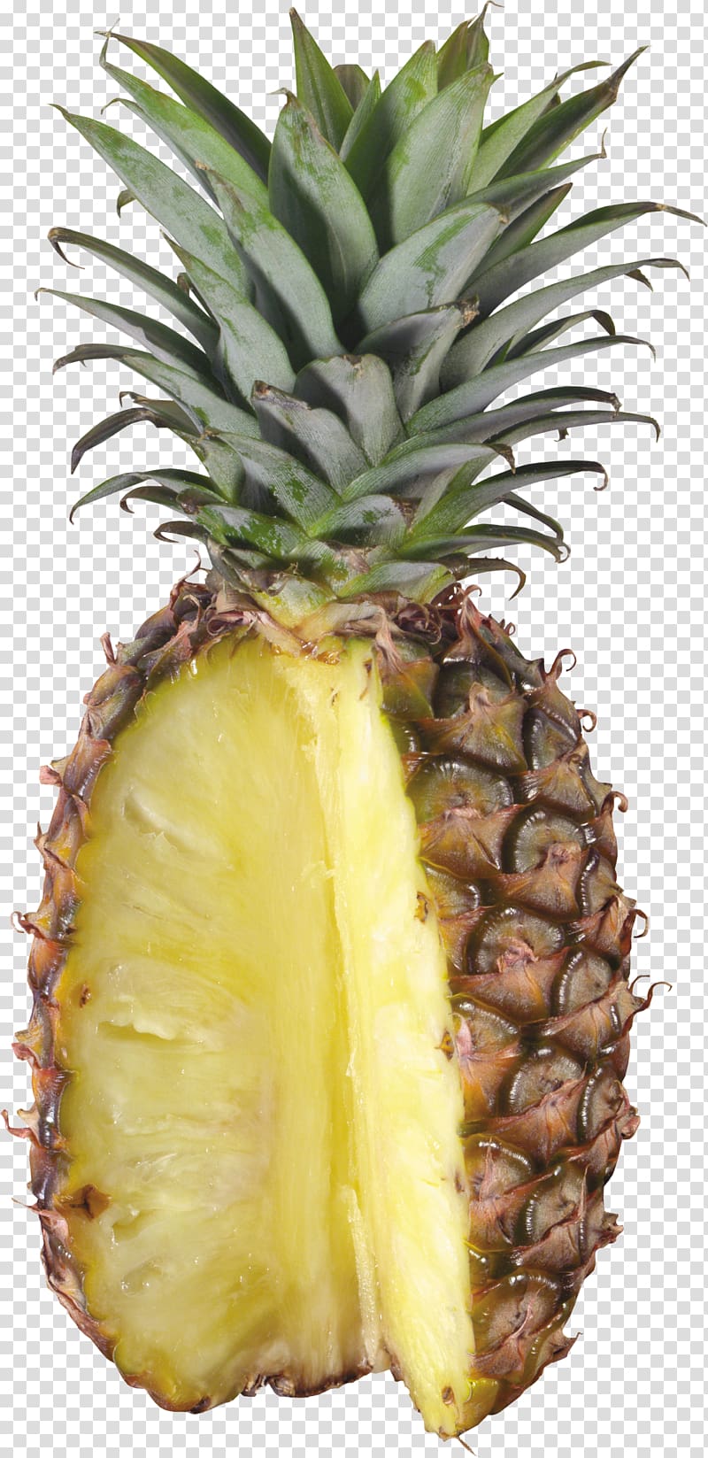 Pineapple transparent background PNG clipart