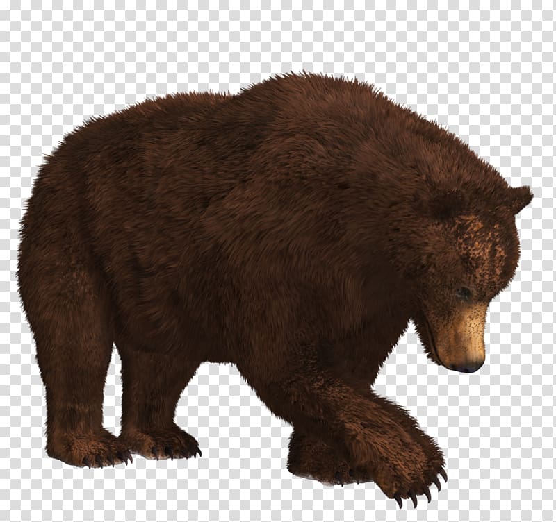 3d mouse painted brown bear transparent background PNG clipart
