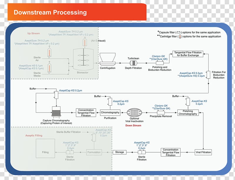 Downstream processing Diagram Petroleum industry, biopharmaceutical transparent background PNG clipart