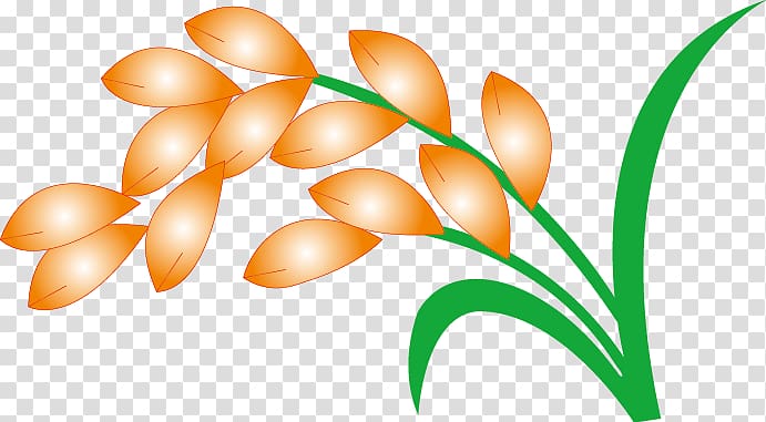 Rice gadu Paddy Field Gratis, paddy,Rice,Rice,Hedao,Rice transparent background PNG clipart