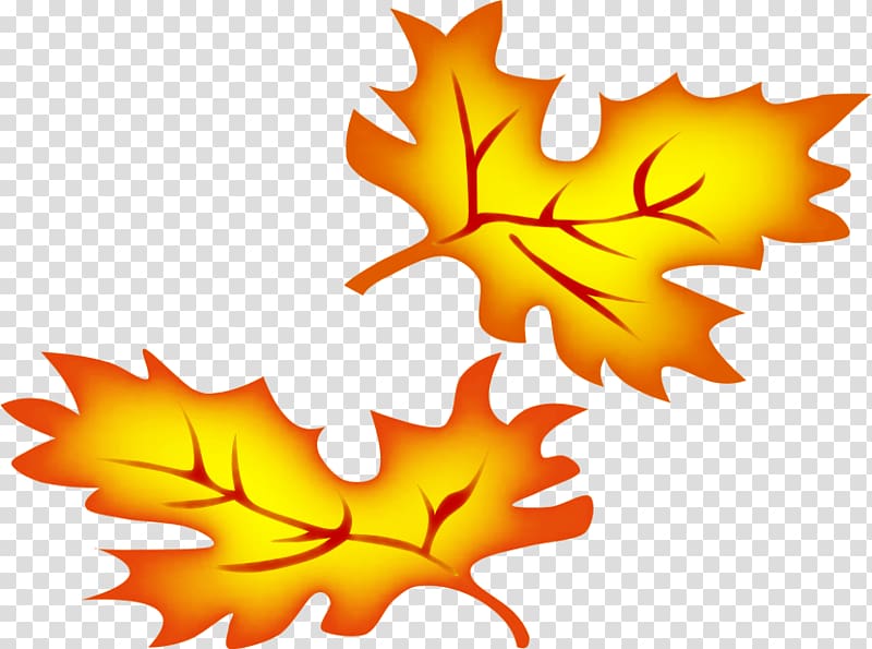 Autumn leaf color , leaves border transparent background PNG clipart