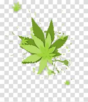 Leaf Drawing Desktop , Leaf transparent background PNG clipart thumbnail