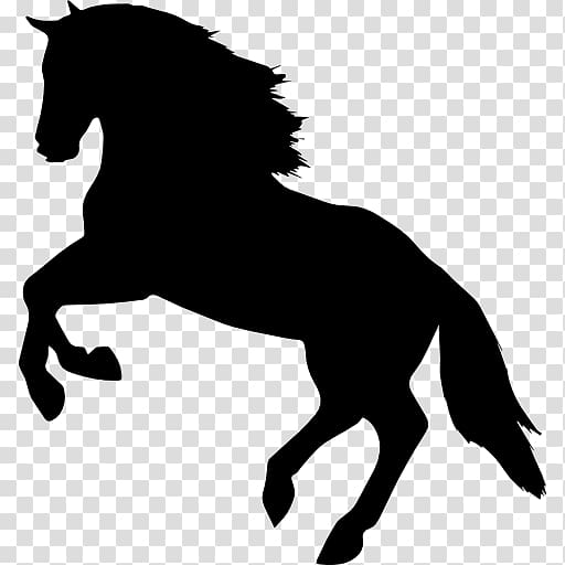 Horse Mare Equestrian Jumping Computer Icons, Horses transparent background PNG clipart