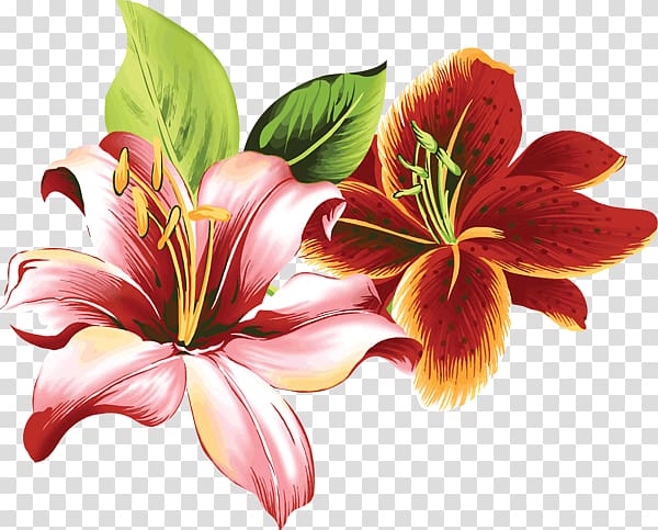 Lilium Flower Daylily Floral design , flower transparent background PNG clipart
