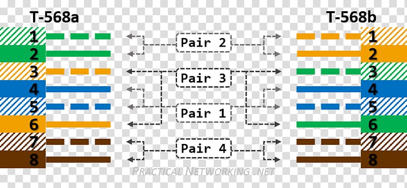 Network Cables Category 6 cable Category 5 cable Wiring diagram, light blue main map transparent background PNG clipart