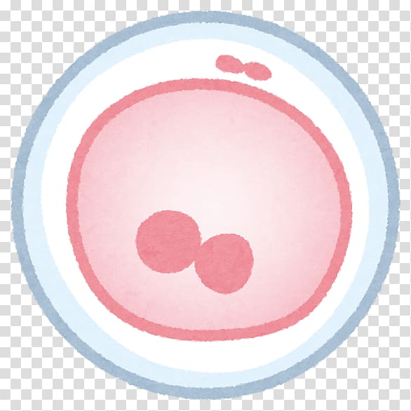 Transvaginal oocyte retrieval In vitro fertilisation Pregnancy Infertility, germ cell body transparent background PNG clipart