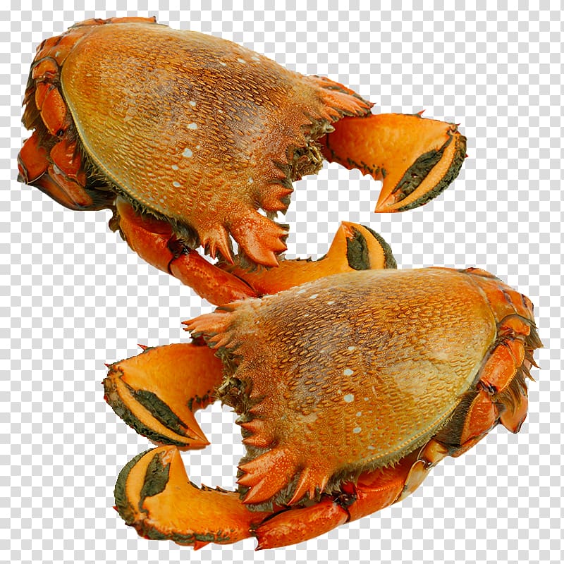 Australia Red king crab Tiger Seafood, Australia Steller crab transparent background PNG clipart