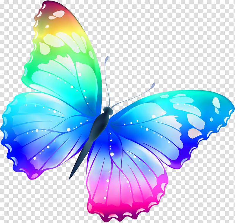 Butterfly , Large Multi Color Butterfly , blue, purple, and yellow butterfly illustration transparent background PNG clipart