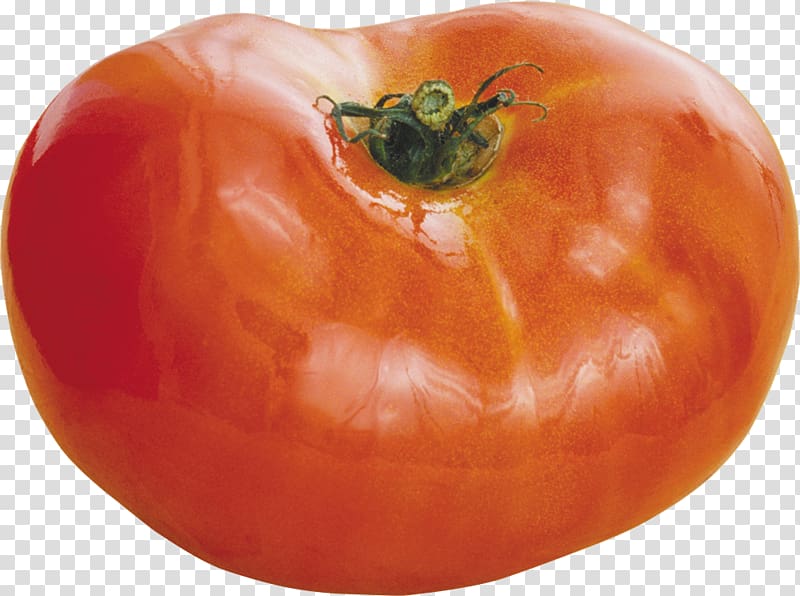 Cherry tomato Salsa Pasta salad Bell pepper Vegetable, vegetable transparent background PNG clipart