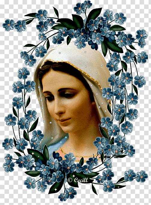 Mary Our Lady Mediatrix of All Graces Prayer Salve Regina Infinitas graças vos damos, Mary transparent background PNG clipart