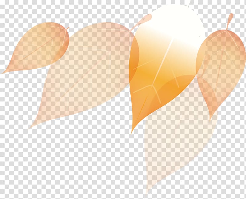 Ice cream cone , Autumn leaves Creative transparent background PNG clipart