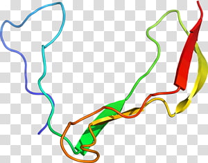 Line art Point , line transparent background PNG clipart thumbnail