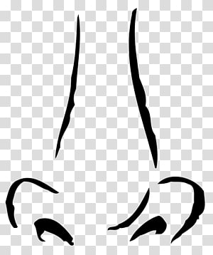 Nose Drawing , nose transparent background PNG clipart thumbnail