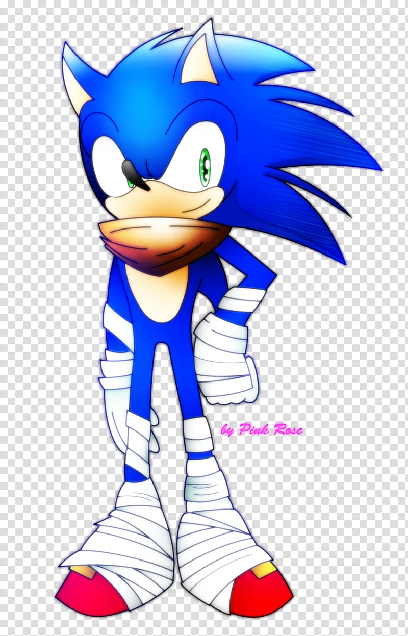 Sonic the Hedgehog Sonic Adventure 2 Shadow the Hedgehog Sonic & Knuckles Sonic Boom, meng stay hedgehog transparent background PNG clipart