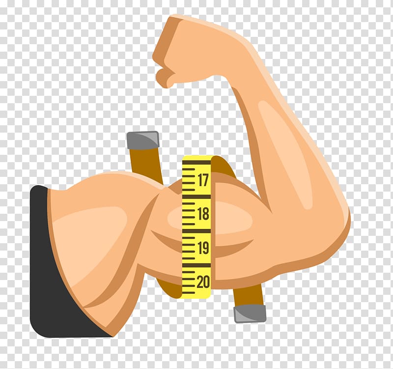 person measuring muscle arm illustration, Arm Muscle Limb, cartoon strong muscular arm transparent background PNG clipart
