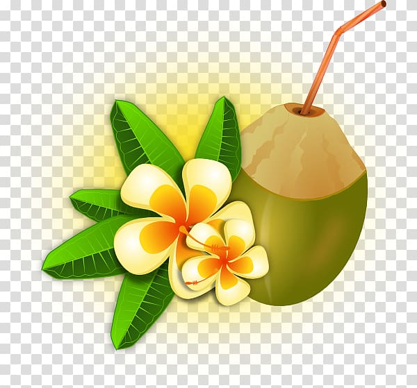 Cocktail Tropics Coconut water , tropical flower transparent background PNG clipart