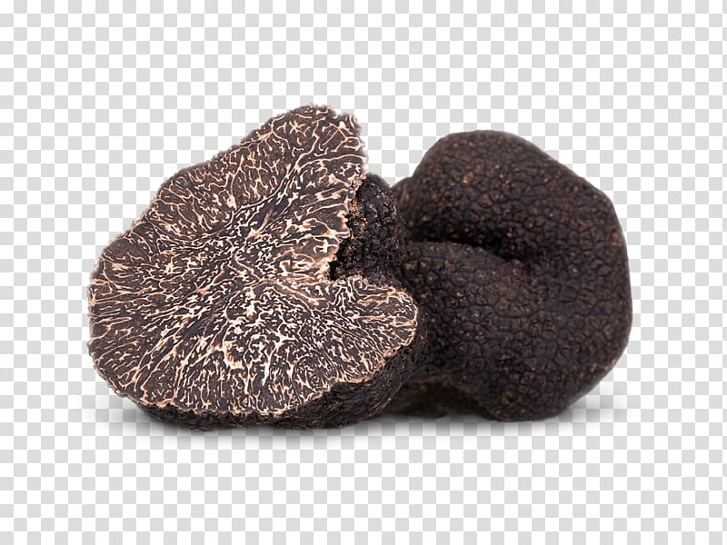 Chocolate truffle Tuber aestivum Edible mushroom Piedmont white truffle, Wagyu transparent background PNG clipart